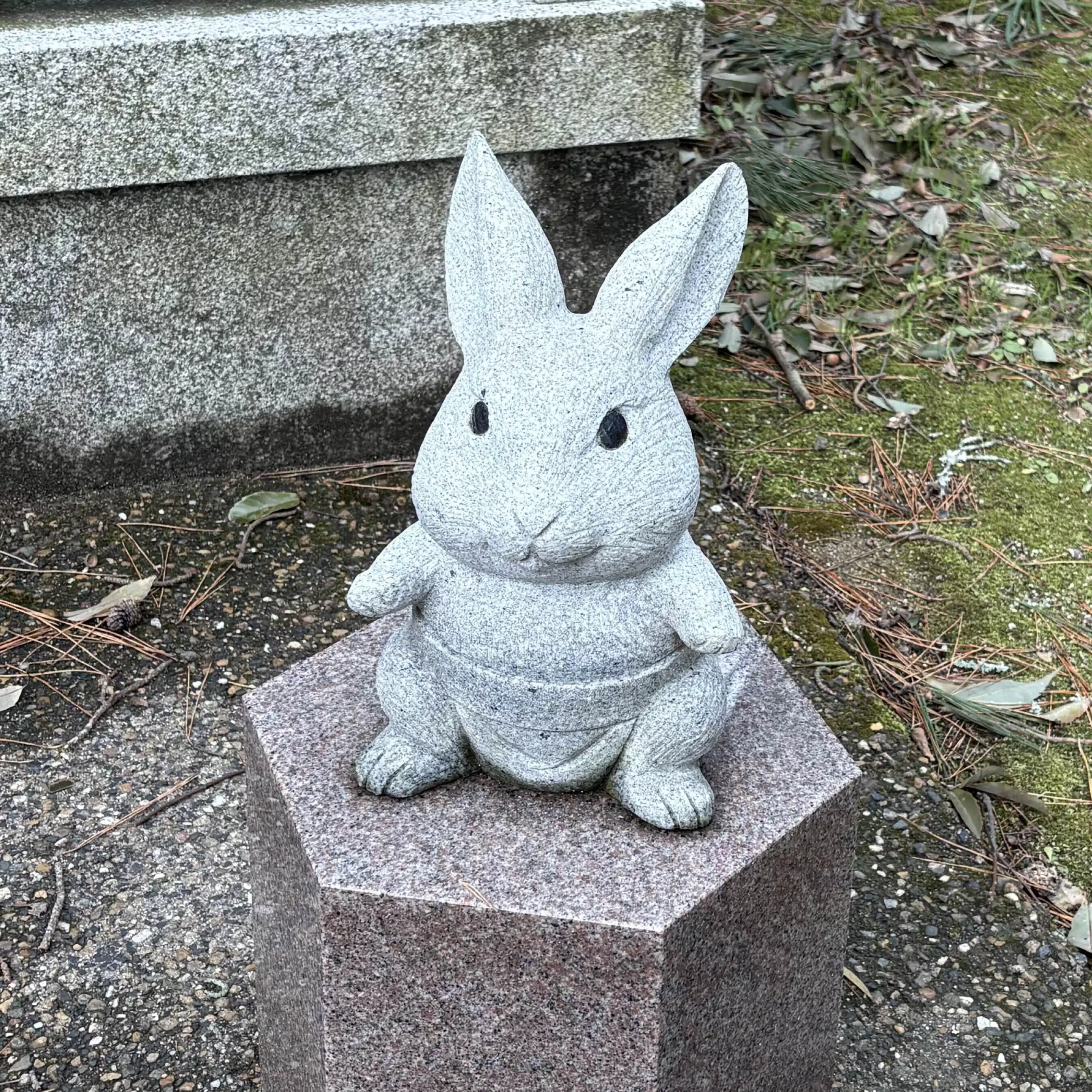 みーた