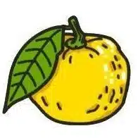 wild_yuzu