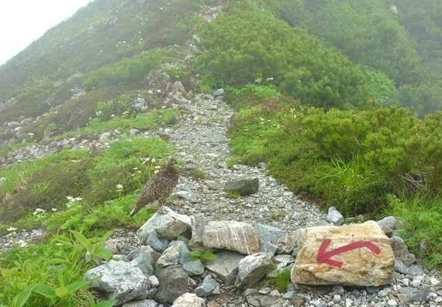 画像15