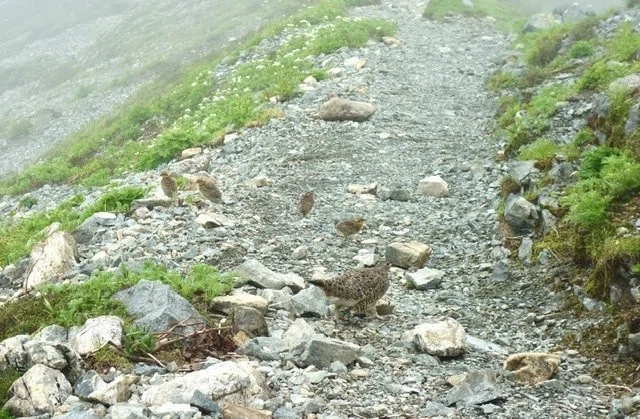 画像16