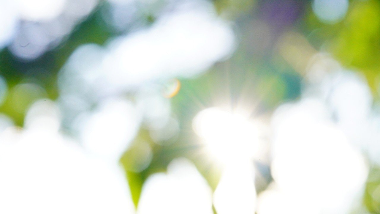 キラキラとピンボケと ご近所カメラマンツッシー Note