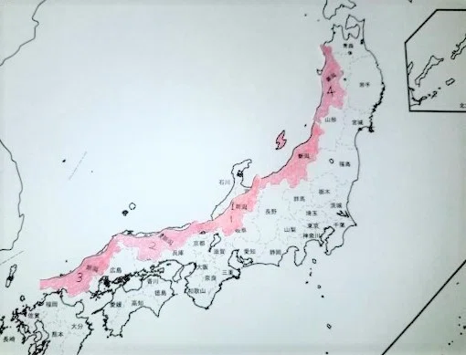 画像10