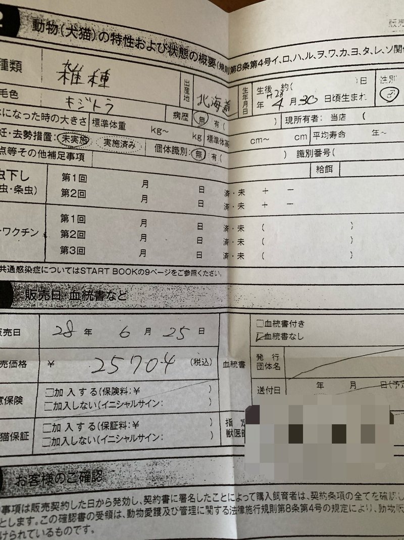 雑種猫を売るペットショップ Jericho Note