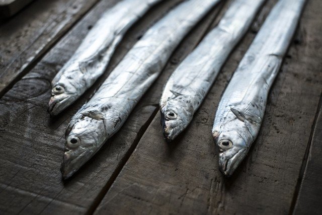 太刀魚の旬の時期 季節はいつ 栄養価と選び方 若手料理人ゆう Note