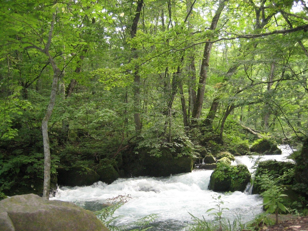 奥入瀬A１ OIRASE BEER（奥入瀬ビール）