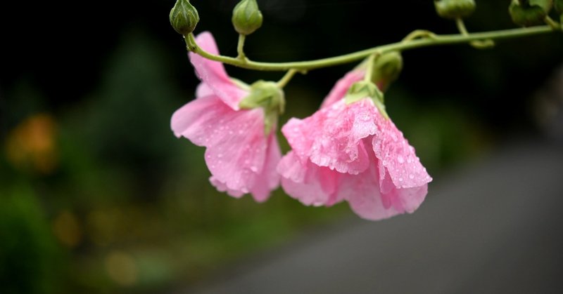 気がつけば遠くに来ていた