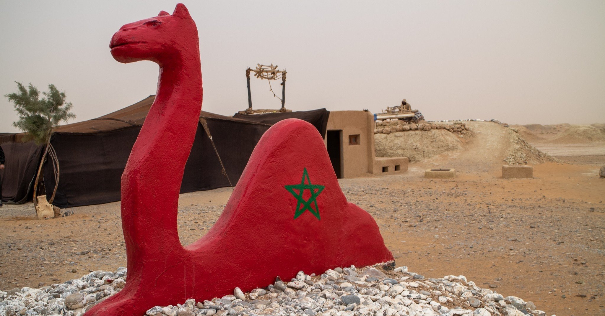 超貴重品　モロッコ砂漠で採取　現在輸出禁止です。 1E5A632F-CAB7-4CB5-9AF5-