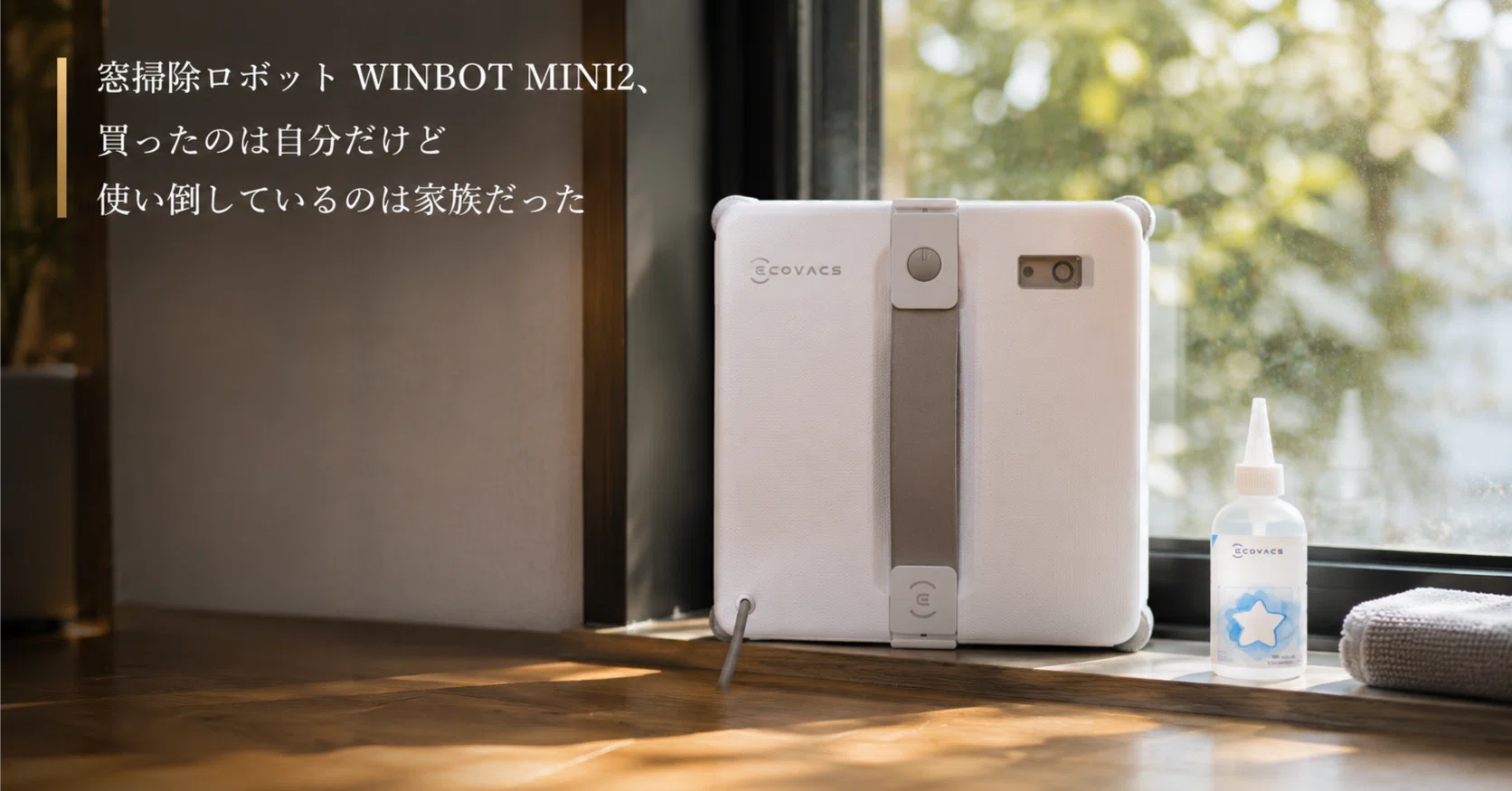 窓掃除ロボット WINBOT MINI2、買ったのは自分だけど使い倒しているの
