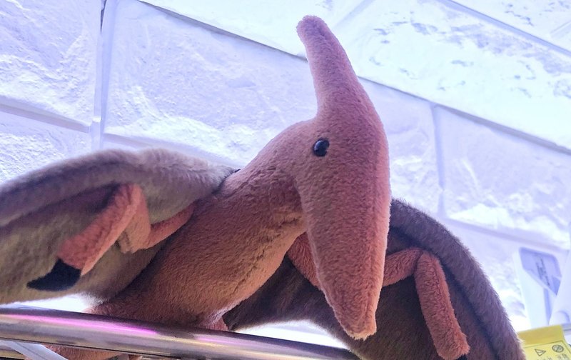お気に入りのぬいぐるみ紹介 プテラノドン かごめp Note お気に入りのぬいぐるみ紹介 プテラノドン かごめp Note