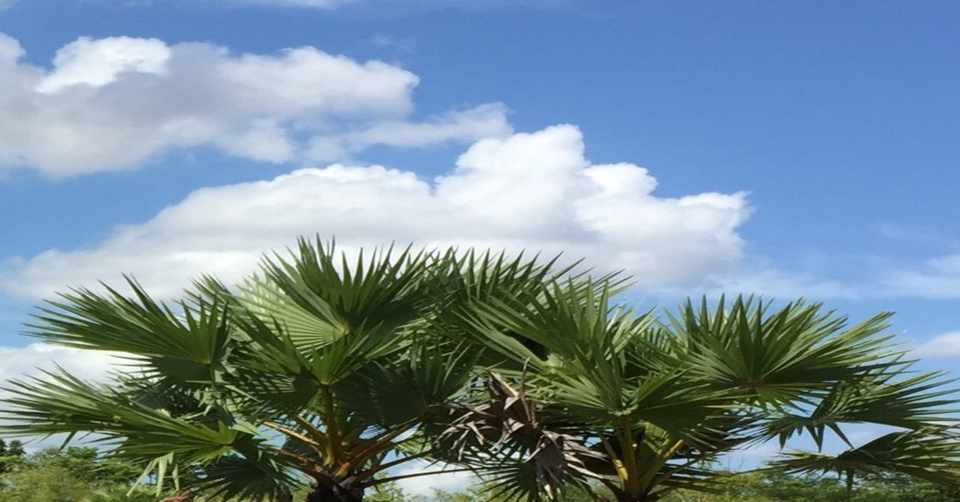 Q お友だちにおもちゃを貸せないことが多くトラブルになります リタ Note