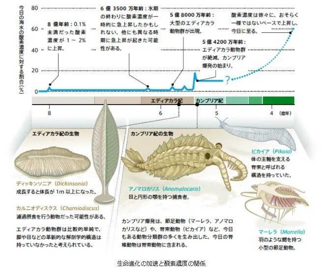 画像30