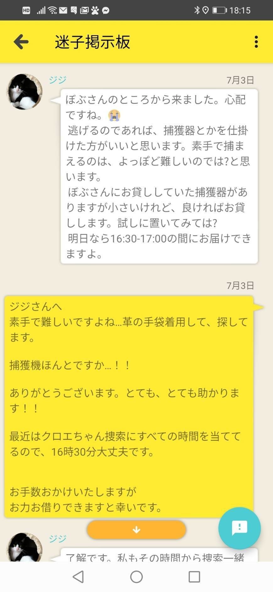 うちのネコが迷子になりまして #6 ドコノコ迷子掲示板を作る｜柴田愛