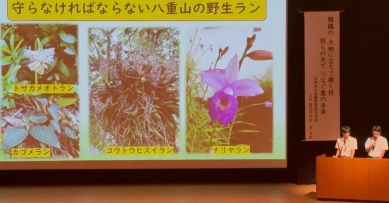 Yaeyama Agriculture Green Life Department Wins Excellence Award at ...