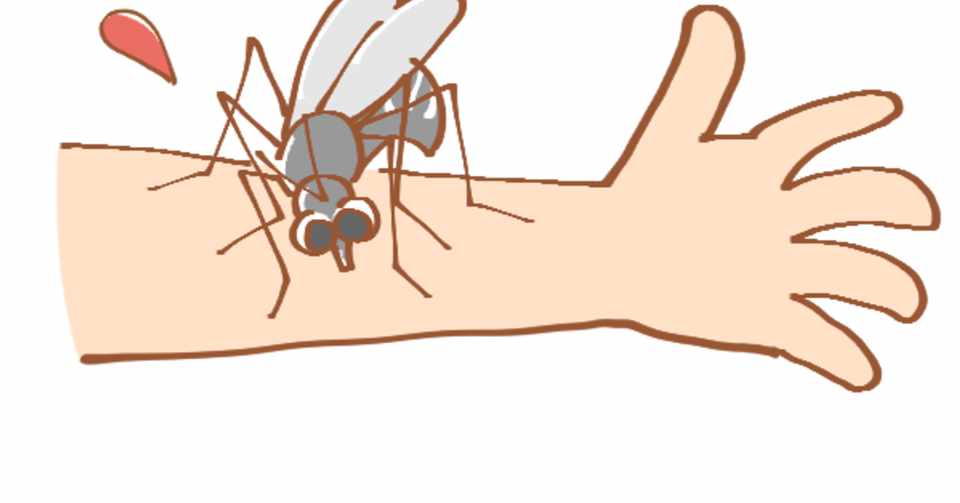 かゆい虫さされ 絶対治したいなら白花油 Hana Note