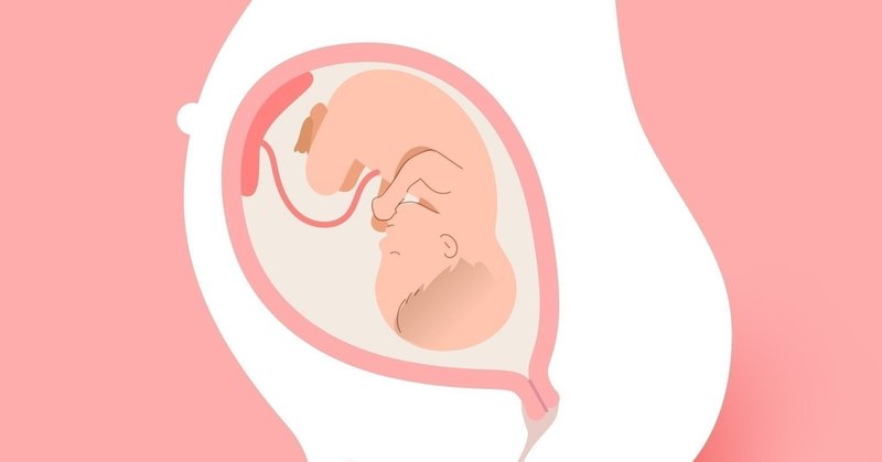 胎動は便意と共に ふみ マタニティエッセイ Note