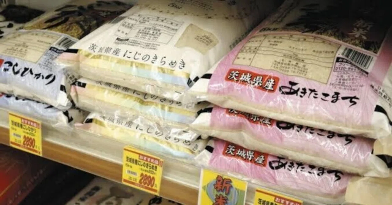 Why is this year's new rice cheaper than old rice? Background, causes ...