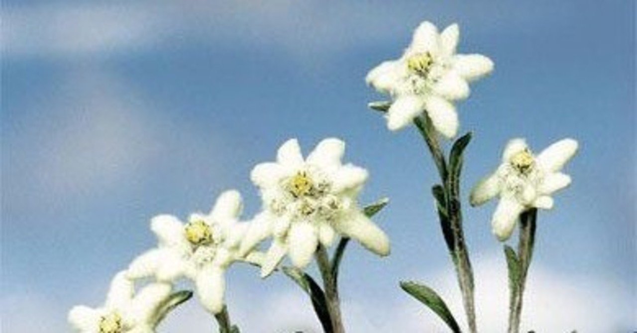 備忘録的 リハ Note 備忘録的 リハ Note