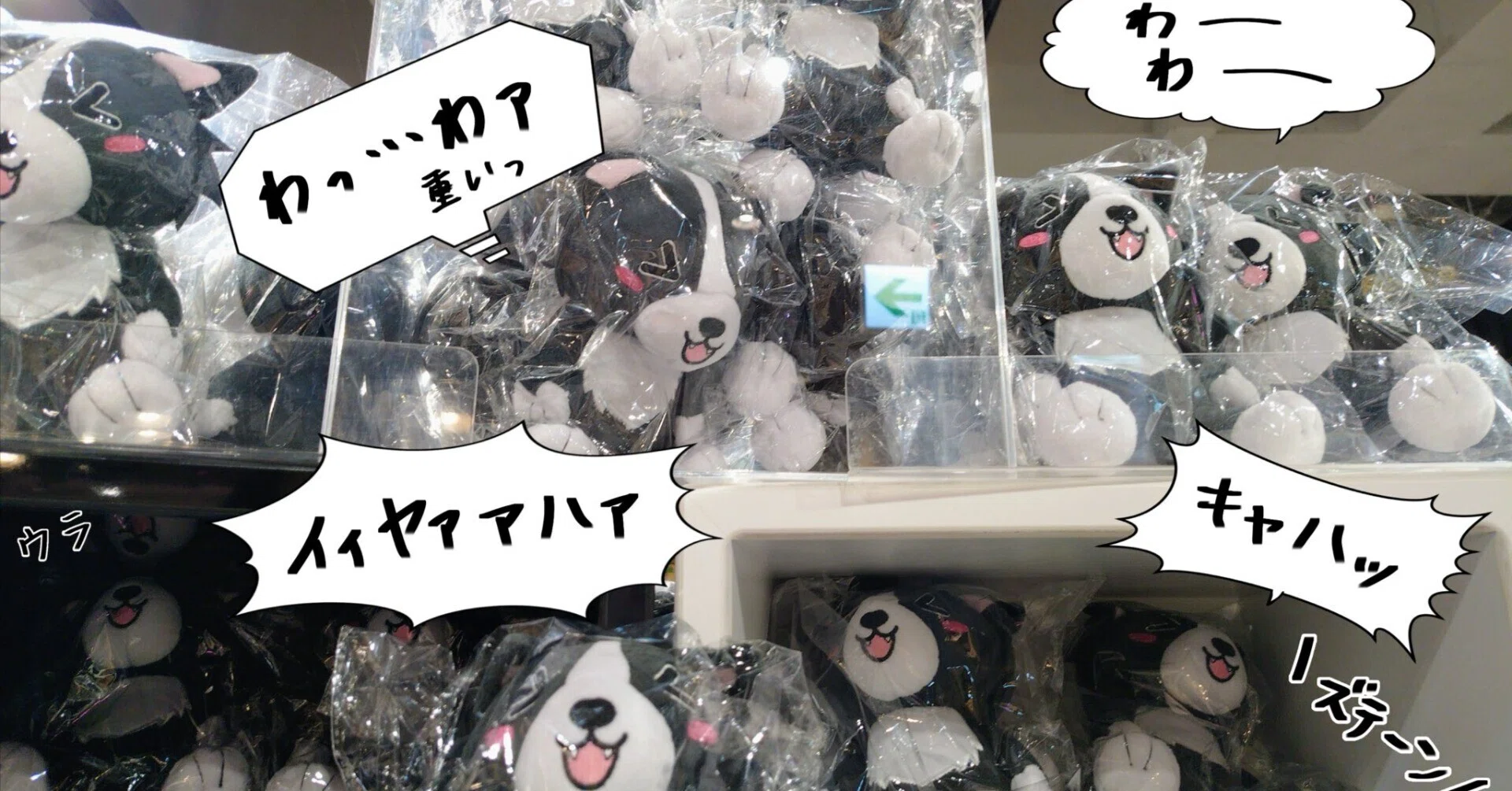 かなえ先生のPOPUPフェアに行ってきました！（20260903）｜なめねこ