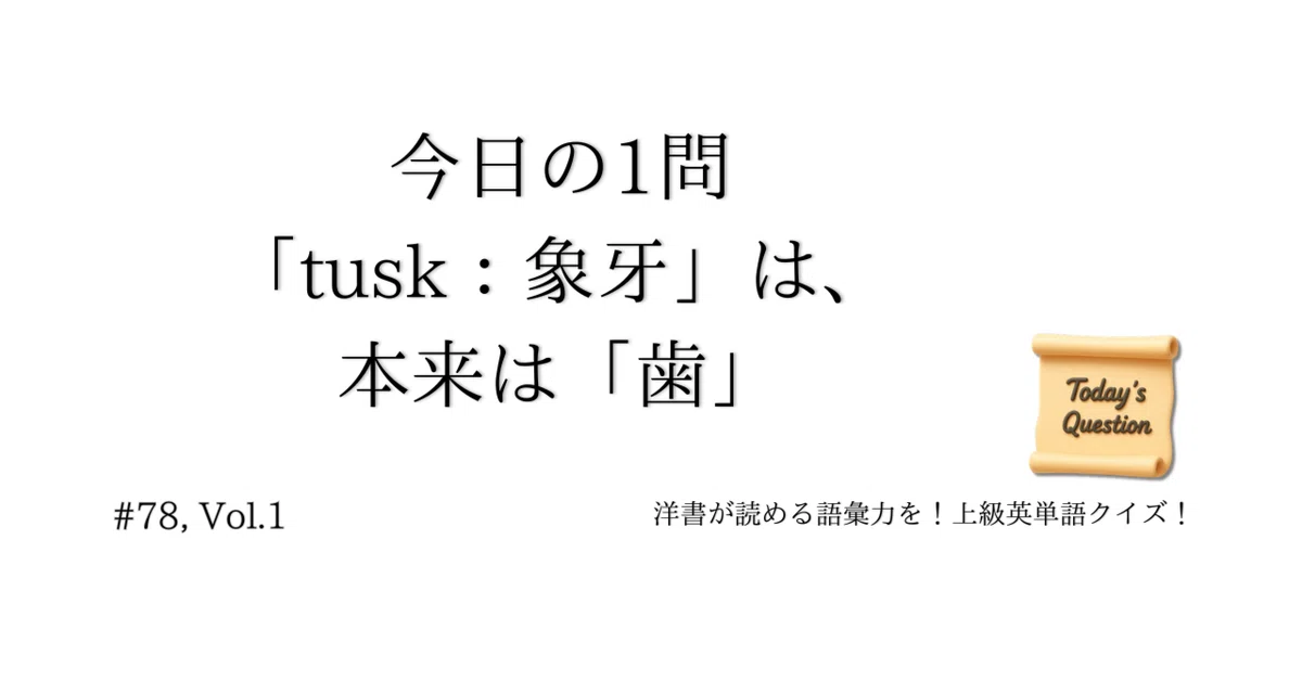 見出し画像