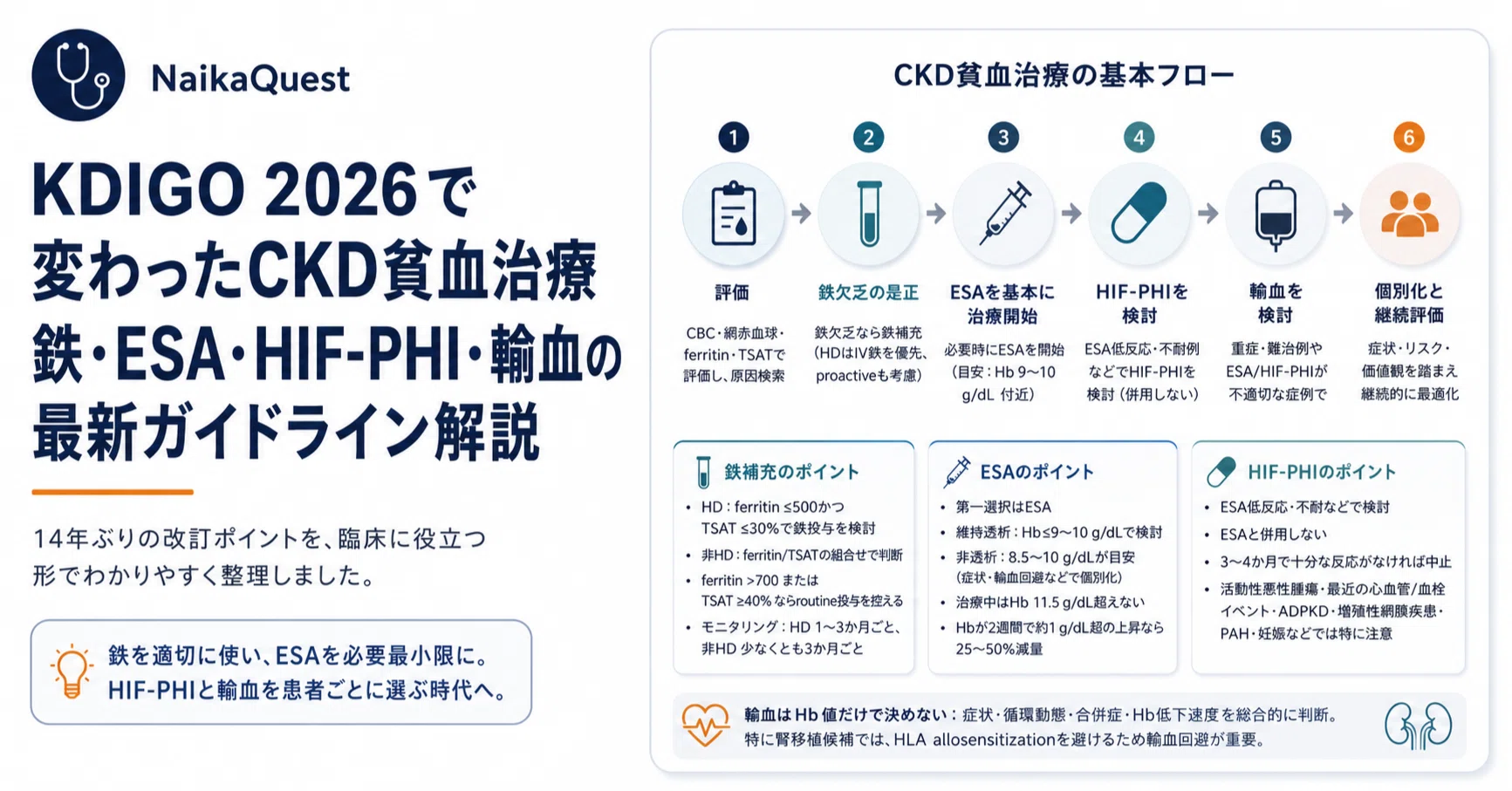 14年ぶりに改訂されたKDIGO腎性貧血ガイドライン2026を整理する——鉄