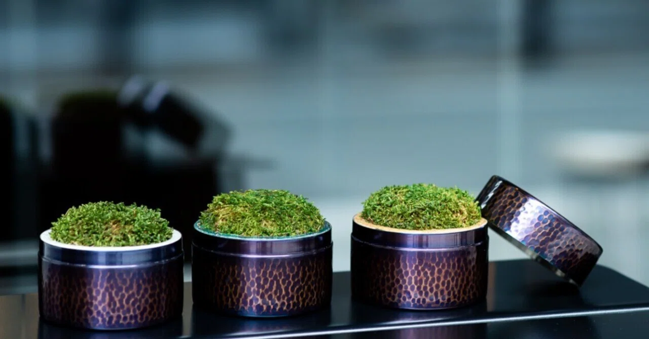 手のひらにのる小さな苔庭で、ほっとひと息。　Mini scape -ZEN-｜Garden archive