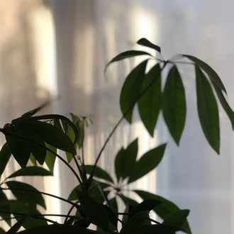 一つの分野や役割だけ極めているけど プライベートが見えなくって そして他の分野はまじで何も語れないって 人よりは いろんなことをなんかわからないけどやってるし プライベートも充実していそうな人の方が僕は断 N Note