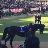 鳩胸男のサイン競馬