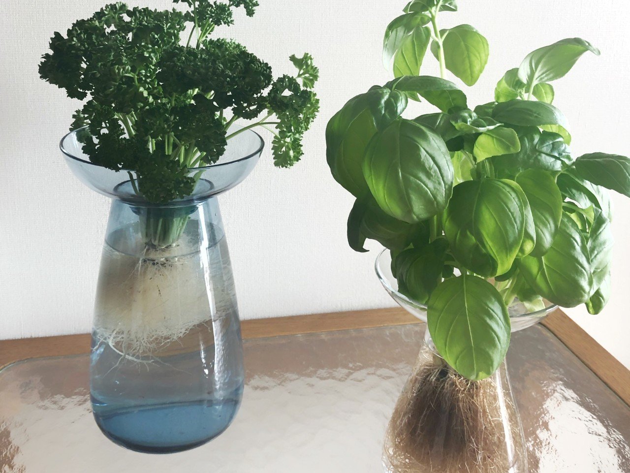 花瓶の話をはじめます 4 バルブベース編 Hanaike はないけ Note 花瓶の話をはじめます 4 バルブベース編 Hanaike はないけ Note