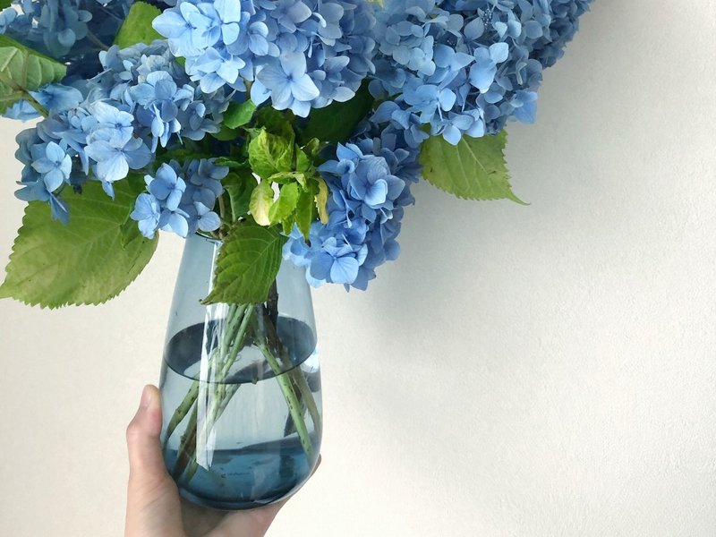 花瓶の話をはじめます 4 バルブベース編 Hanaike はないけ Note