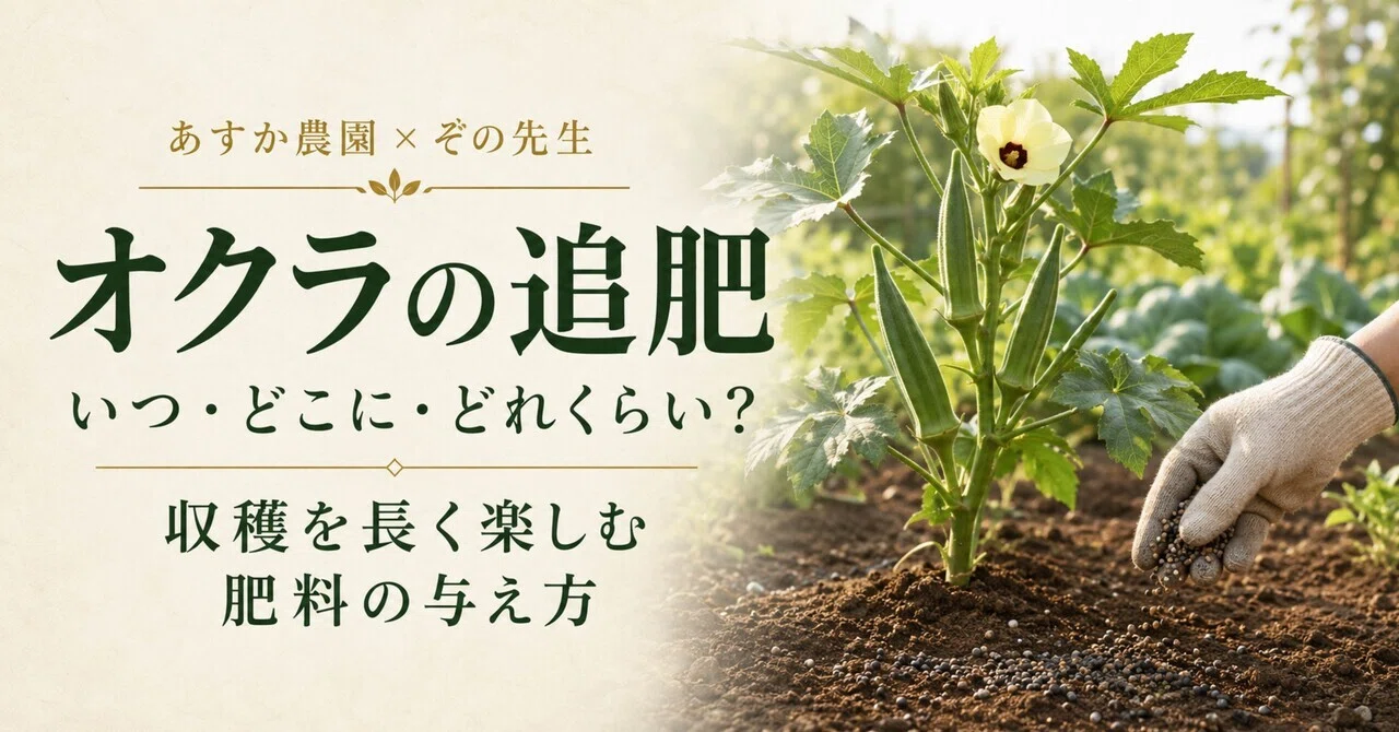 オクラ 追肥 時期(02)