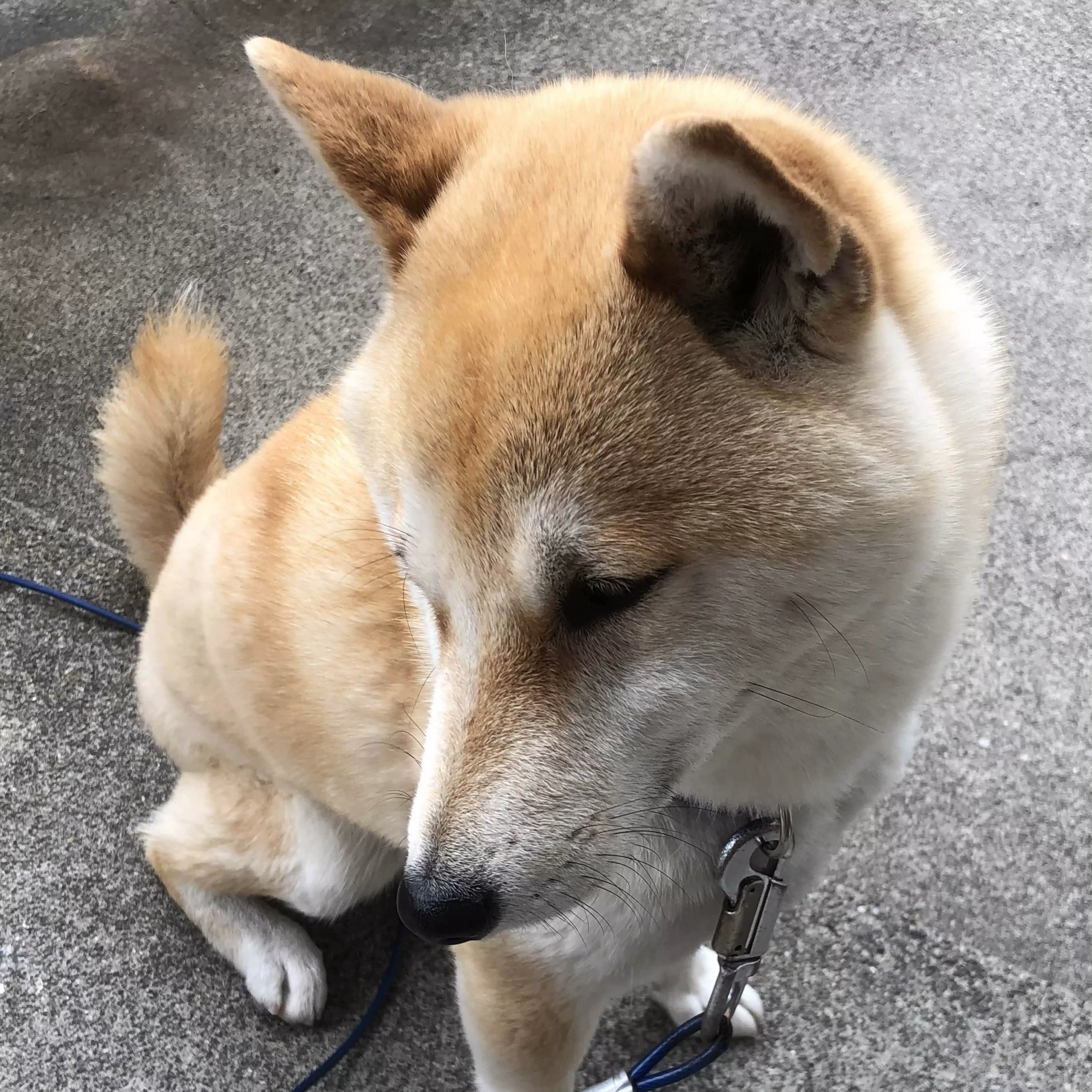 そうちゃん