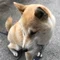 そうちゃん