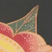 朝型てるみん
