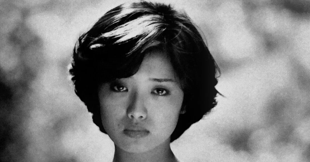 山口百恵 秋桜 ｜Shotgun Blue