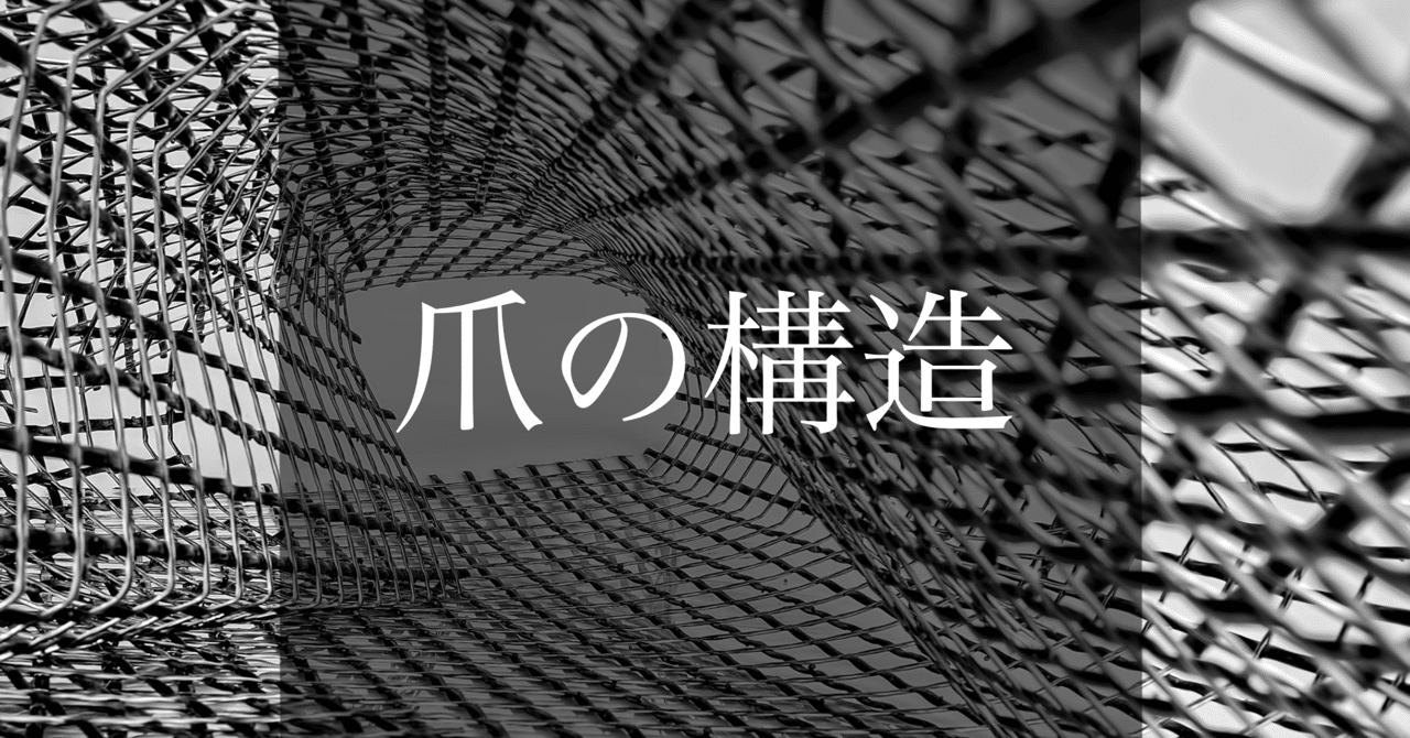 爪の構造 風麗 Note