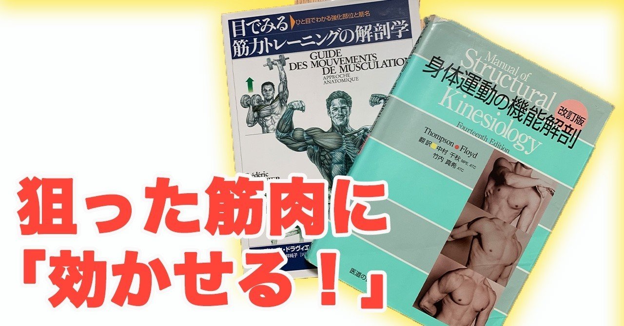 機能解剖学】「効かせる」ために絶対知っておきたい知識【筋トレ