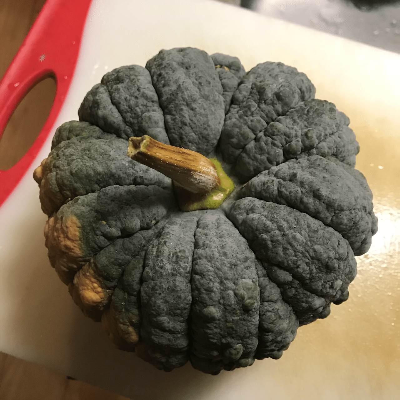 富津黒皮かぼちゃで真夏に鏡開き気分を味わう トム ソーヤー Note