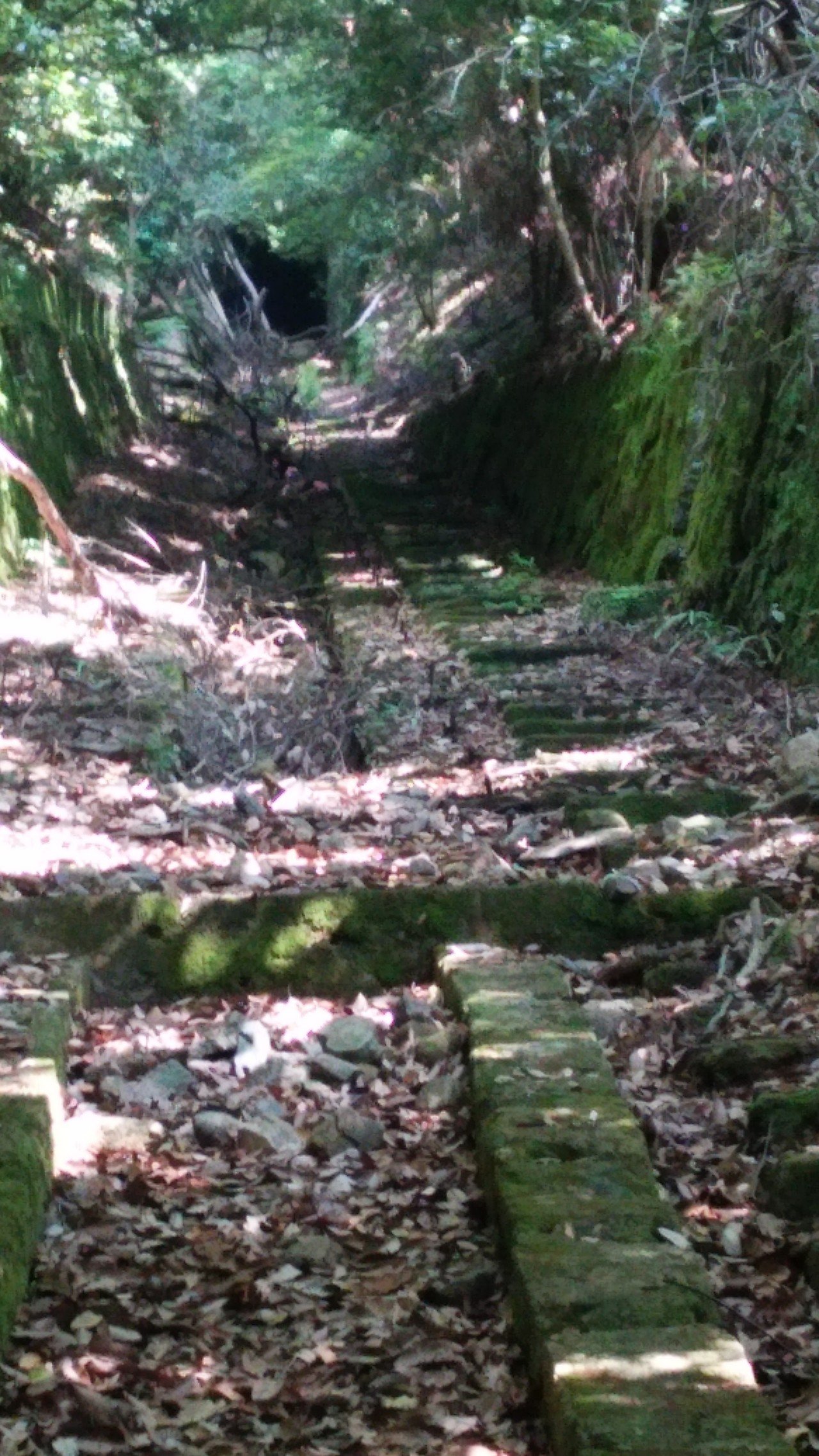 愛宕山ケーブルの廃墟 羽後燦樹 Note 愛宕山ケーブルの廃墟 羽後燦樹 Note