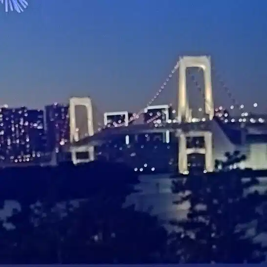 ぴぴまる