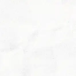 タタミピザ
