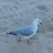 たびてく@一人旅ガチ勢