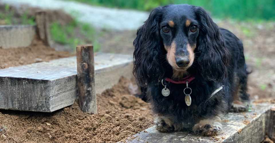 動物とのコミュニケーションに大切なのは見て聞いて触ること 高野 縁 たかのゆかり Note