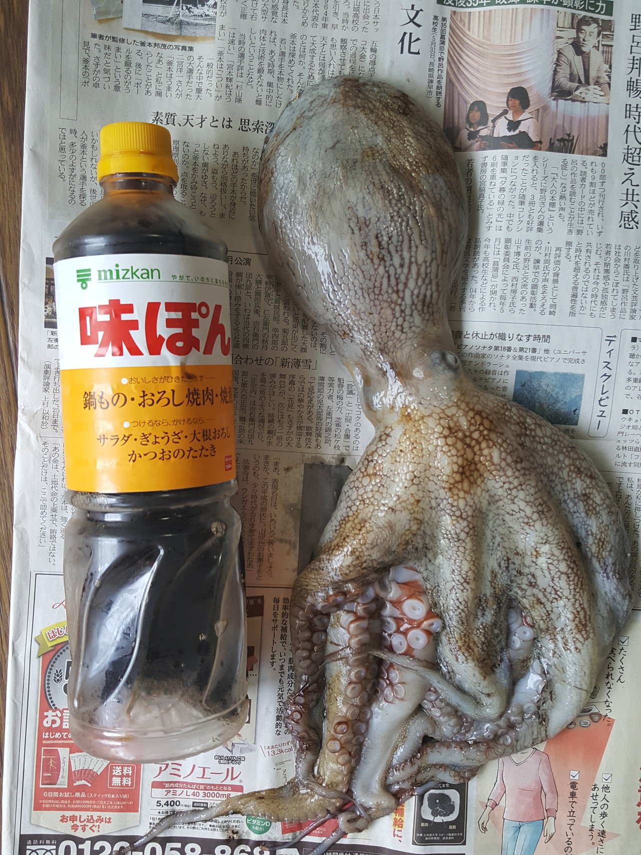 タコ釣り 大海原 琉葵 Note タコ釣り 大海原 琉葵 Note