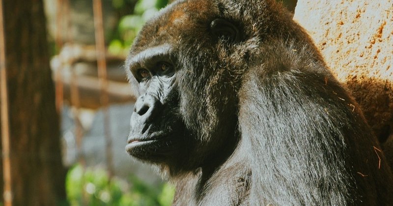 木彫りのゴリラ 短編小説 神崎翼 Note