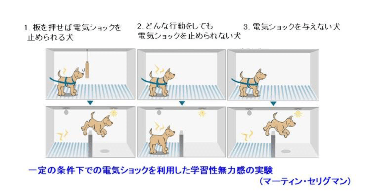サウザーラジオ 志 天をも穿つ 第408話 学習性無力感 努力しても無駄と思う人々 Chimaki Stayalert Note