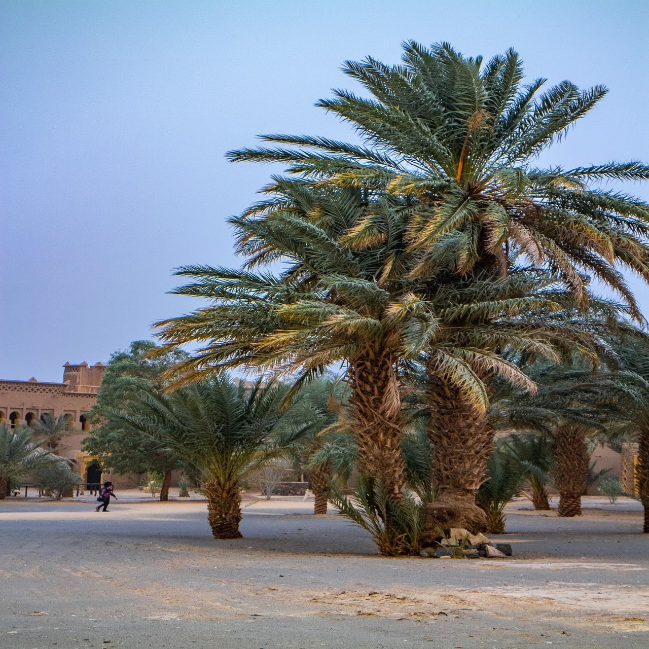 モロッコのサハラ砂漠「メルズーガ」｜Zenpaku