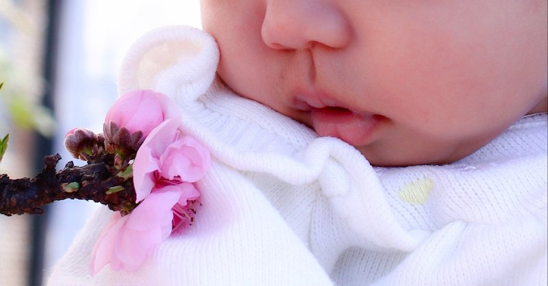 子どもをを産んでからこの世の全赤ちゃんが可愛いと感じるようになった シングルマザーのれいこ Note
