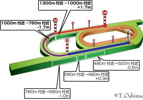 新潟1600芝外