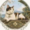 自由猫
