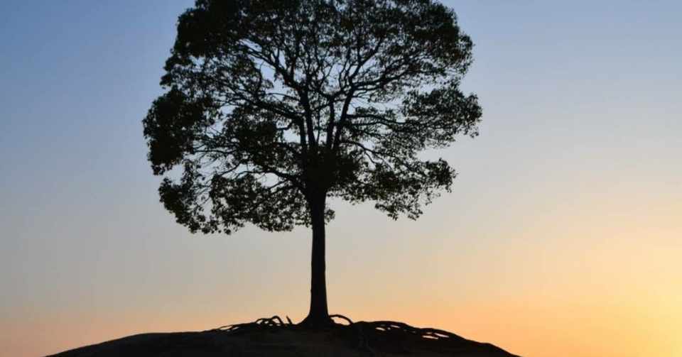 友達との約束を寝坊 ゴミの住人 Note